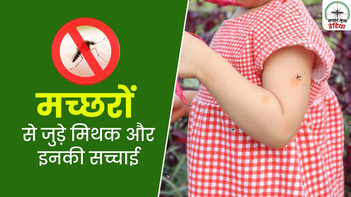क्या आप भी मच्छरों से जुड़े इन मिथकों पर करते हैं भरोसा, जानें डॉक्टर से सच्चाई